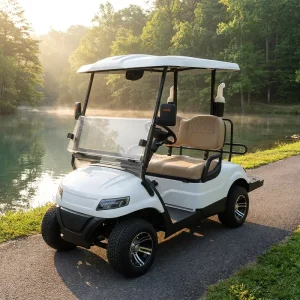CE Certified 72V 5KW Electric 2 Seater Golf Cart Buggy Lithium Battery 90km Long Range 4 Stroke GCC Lifetime Service