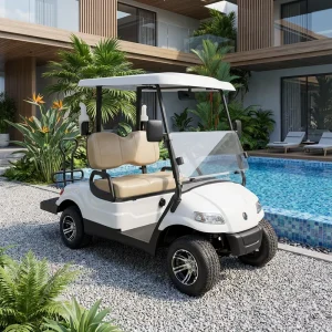 CE Certified 72V Electric 2 Seater Golf Cart Buggy Lithium Battery 90km Range Front Disc Brakes R15 R19 Tires Lifetime