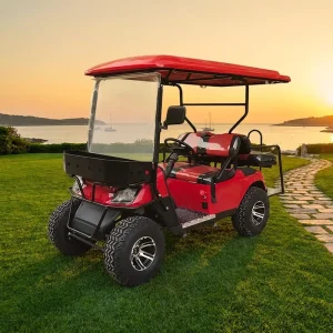 CE Certified 72V Lithium Electric Golf Cart 2 Seats 70+ km h Speed 90km Range 500kg Curb Weight