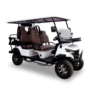 CE Certified Chinese Factory Manufactures New 2 Seater Electric Golf Cart