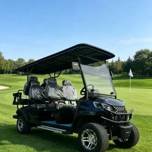 CE Certified Custom Lithium 6 Seater Electric Golf Cart Lifted Street Legal Golf Push Cart