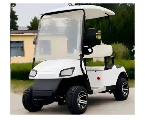 CE Certified Durable Steel Frame 60V Electric Golf Cart with 30 50Km h Speed for Golf Courses