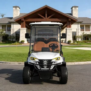 CE Certified Electric Golf Cart with Lithium Battery for 70 90km Range Support Custom Color Model