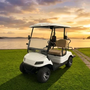 CE Certified High Performance 4WD Electric Golf Cart 72V Lithium Battery 3.5 7kW Motor 70km/h+ 90km Range 1 2 Seats