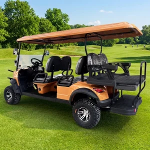 CE Certified Luxury 6 Seater Off Road Electric Golf Carts Sightseeing Club Car