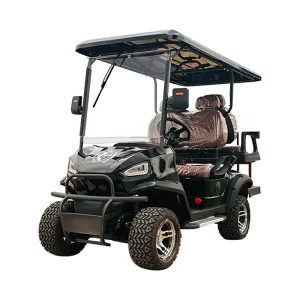 CE Certified Luxury Sightseeing 4 Seater Electric Golf Cart 12 Inch Road Tires 30 50Km h 90km Range 60V Maintenance Free