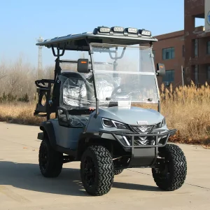 CE Certified New Design Golf Buggy 60V 72V Lithium Battery Electric 2 4 6 8 10 Passenger Off Road Golf Cart with Cargo Box