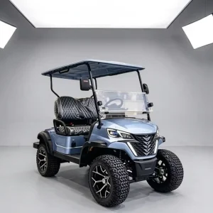 CE China Source Factory Golf Cart OEM ODM Custom Logo Electric Golf Buggy