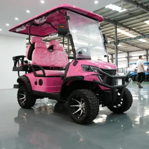 CE Dot Certified GCC 4 Seater Electric Golf Cart with 60V 3500W Lead Acid Battery Steel Framework Disc Brakes 30km h Speed