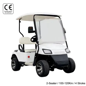 CE EAP High Performance 2 Seats Gas Golf Cart for Outdoor Recreational Activities