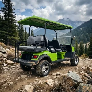 CE EEC Certified 4 Stroke Gasoline Powered 6 Seats Golf Buggy Carts with 45 Km h Speed and 100 120 Km Range