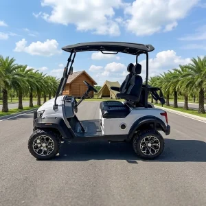 CE EPA Certified Compact Car 2 Seater 5000W Energy Saving Motor Long Range Golf Course Individual Patrol Golf Cart