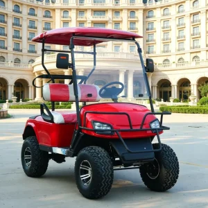 Camp Customizable Solar Panel Electric Golf Cart 2 Seater Sightseeing Golf Scooter Off Road Club Car