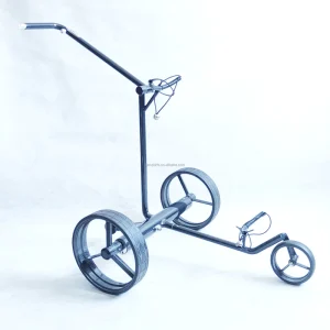 Chariot De Golf Electrique
