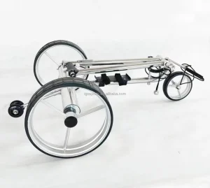 Chariot De Golf Electrique Control Remoto