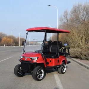 China Custom 4 Seater Lifted Golf Cart 4WD Heavy Duty for Resort Club Off Road Use