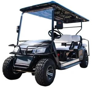 China High Quality Off road Club Car 48V Electric Golf Carts 2 4 6 Seater Golf Buggy Price