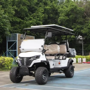China Manufacturer Customize High Cost effective Electric Golf 4Wheel Cart Front and Rear Seat