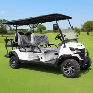 China Manufacturer Electric Golf Cart 6 Seater Electric Luxury Golf Buggy With Speakers Golf Trolley for Sale