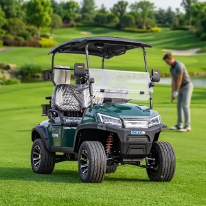 China Manufacturer Electric Golf Cart for Bosses