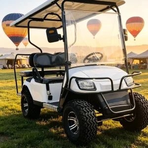 China Manufacturer Free Sample 4 Seat Electric Golf Cart for Quality Test