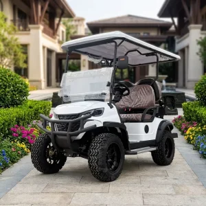 Chinese 4 Seater Electric Golf Carts Prices Buggy Car for Sale 4 Passenger Golf car usato Modern Golf Cart