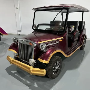 Chinese 6/8 Seater Electric Golf Cart Car Golf Carts Electric Buggies Gas Powered Carro Carrito De Golf Cart