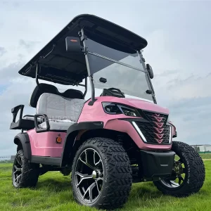 Chinese 72v Electric 4 Seat Customized Solar Panel Electric Golf Cart Price Electric Golf Buggy