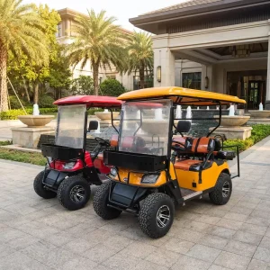 Chinese Electric Golf Cart Buggy with 72V Lithium Battery CE Certified Custom Comfortable