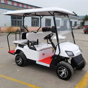 Chinese Electric Off-Road Golf Carts with 2/4/6/8 Seats Popular