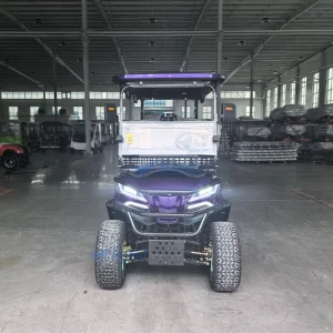Chinese Manufacturer’s Golf Cart for Sale New Club Car Electric Golf Carts 4 Wheel Drive Cart Golf