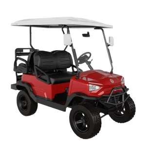 Chinese New Design 48V Utility Electric Golf Carts Electric
