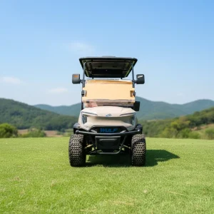 Chinese New Model 4 Seater Electric Golf Cart for Hotel and Golf Course with Lithium Battery and Custom Options
