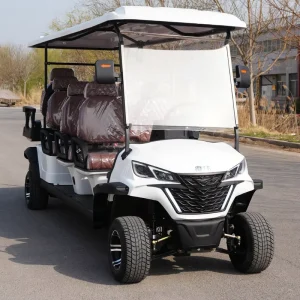 Chinese Professional 8 Seater CE Certified Electric Golf Cart with 70-90km Range Supplier Sells at Factory Prices