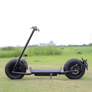 Chopper Electric Scooter 2000w 3000w Citycoco Electric Scooter with Fat Bike Tire