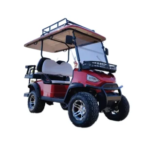 City Cart Lithium Battery for Golf Electric Golf Cart Elektrische Golfkar