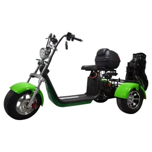 Citycoco Electric 3-Wheel Foldable Waterproof GPS Lithium Battery Golf Trolley Scooter Fast-shipping