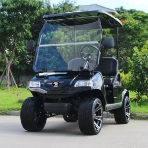 Classic 2 Seater Electric Golf Cart for Community and Private Use