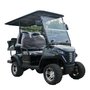 Classic Golf Car Luxury Motorized Golf Cart in USA