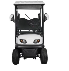 Classic Style 2 Seaters Electric Golf Cart Fully Customizable with High Power for Parks