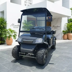 Classic Two seater Golf Cart Equipped with a 3500W Motor
