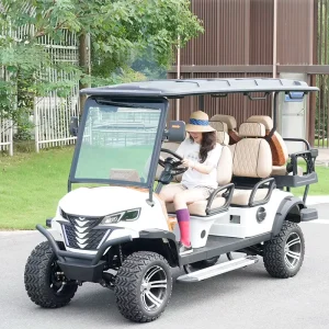 Club 2 4 6 8 Seater Electric Golf Cart Car for Sale Off Road Golf Car