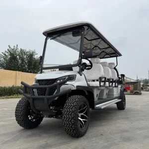Club 2 4 6 Seater Chinese Electric Golf Cart 72V Lithium Custom 8 Seats Electric Golf Carts