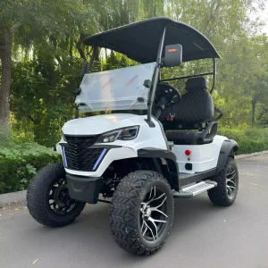 Club 2 4 Seater Chinese Electric Golf Cart Car for Sale 72V Lithium Custom Comfortable 6 Seats Electric Golf Carts