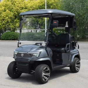 Club Car Lifted Passenger Golf Cart Off Road Golf Cart