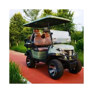 Club Golf Cart Lifted 2 2 Passenger Golf Cart with 4 Seats Outdoor for Sale Club Car Golf Carts