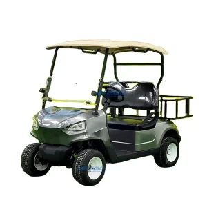 Club Golf Cart Lifted 2 Passenger Golf Cart with Seats Outdoor 2 Seat for Sale