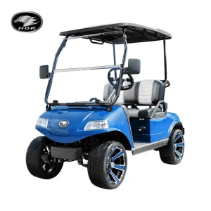 Club Golf Course 48V 2 Seat Classic 2 Pro Electric Golf Cart
