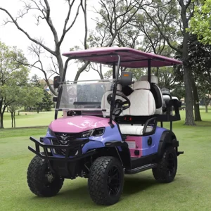 Club6 Seater Chinese Electric Golf Cart Car 72V Lithium Custom Comfortable 4 Seats Electric Golf Carts