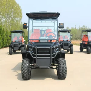 Comfort 4 Seater Electric Golf Cart With Touch Screen Bluetooth for Country Club Resort